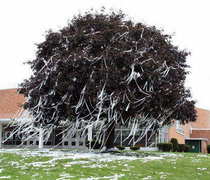 A large tree with dense, dark foliage standing prominently on a well-maintained grassy area, with white bits of shredded paper or similar material tangled among its branches. The tree is positioned in front of a residential building with a brick exterior and white window frames, which appears to be a house or small apartment complex. The surrounding environment includes a paved driveway or pathway to the right side of the image and some small, neatly trimmed bushes near the building. The sky is overcast, casting diffuse lighting over the scene. The presence of shredded paper among the branches suggests that the image may relate to waste management or rubbish collection services, as provided by Commercial Waste Crawley, operating in Crawley or nearby areas, with the scene situated in a typical UK suburban setting.